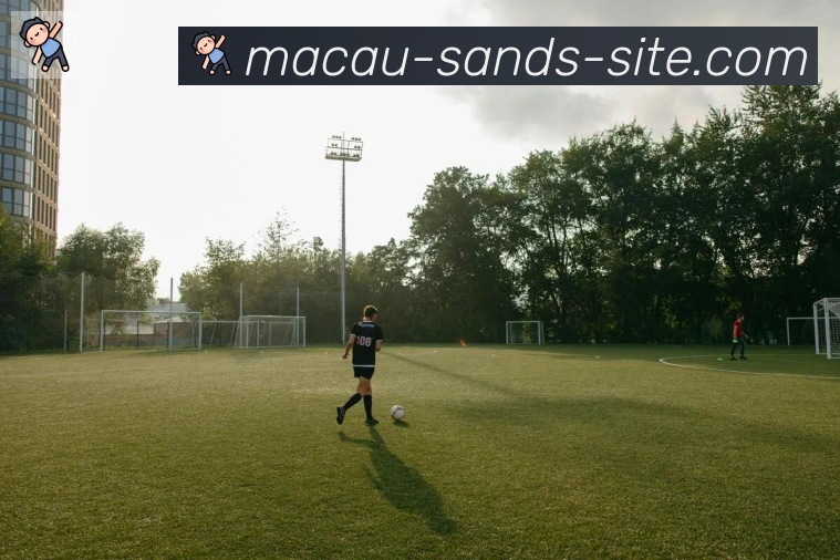 金沙娱乐城平台生态图