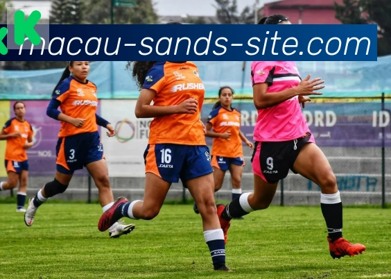 金沙娱乐城服务体系