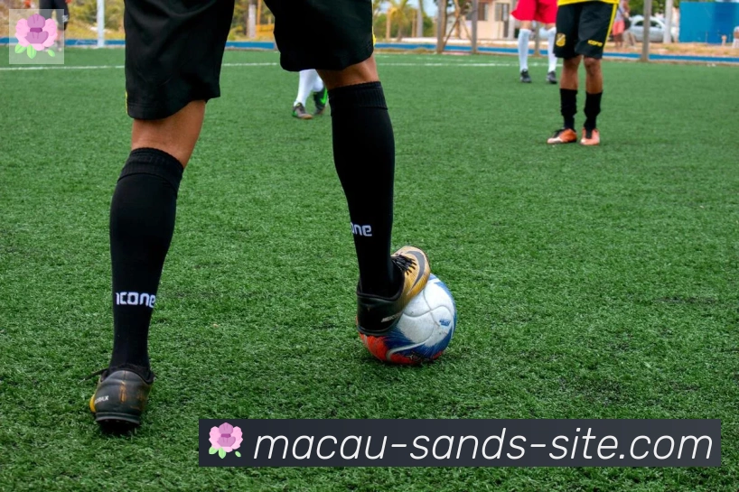 金沙娱乐城荣誉