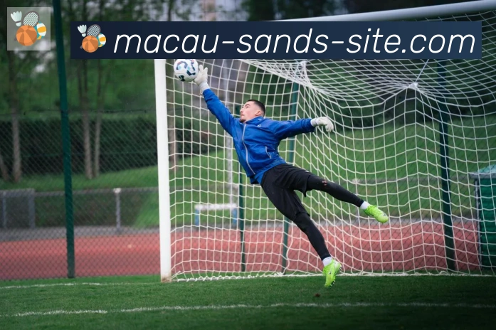 金沙娱乐城荣誉