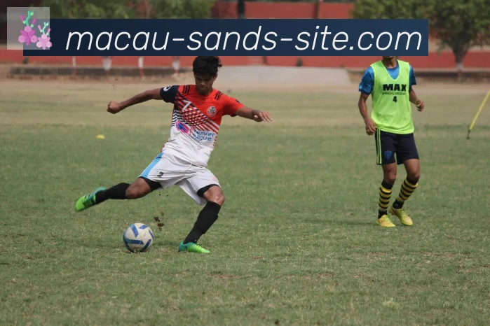 金沙娱乐城荣誉