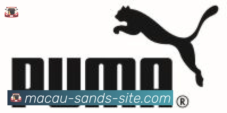 金沙娱乐城合作伙伴